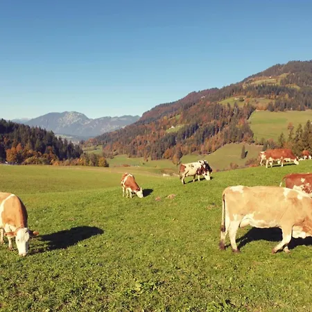 Litzlhof Kraftplatzl Apartment Itter